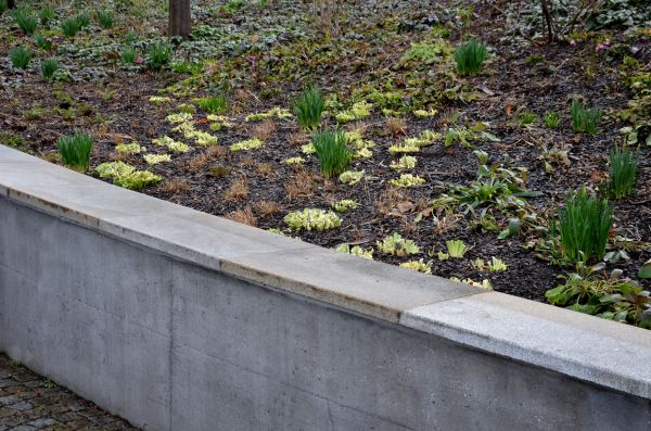 Cost of Concrete Wall Construction in Goldsboro
