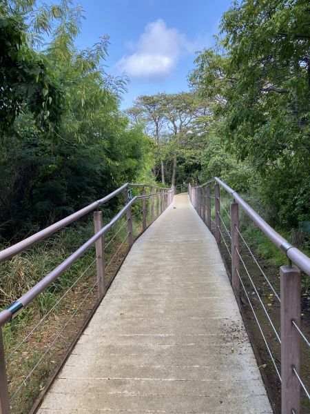 Footpath Construction in Goldsboro