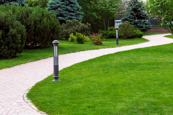 Backyard Sidewalk Installation in Goldsboro